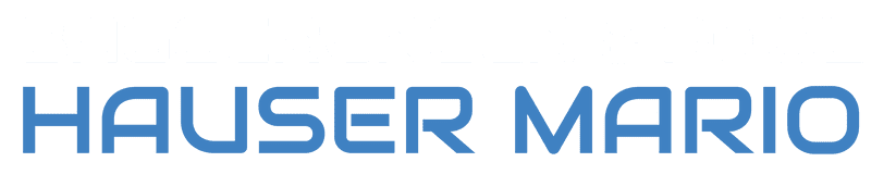 Logo - MARIO HAUSER | BAGGERUNGEN